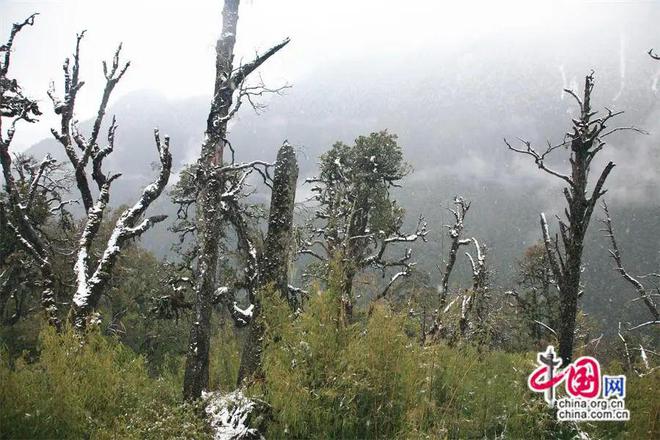 应成为特种旅游的宝藏之地开元棋牌专家观点｜怒江(图6)