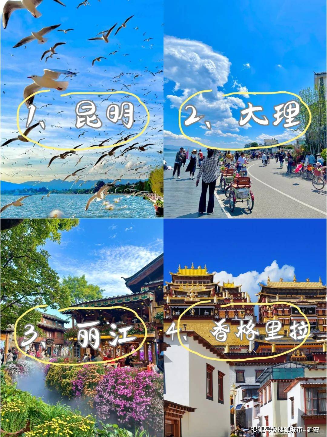 信推荐昆明优秀旅游定制师号码开元棋牌云南最佳私家导游微(图2)