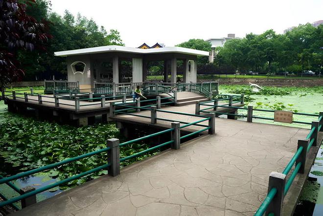 观黄鹤楼、湖北省博物馆春假爆款武汉名校夏令营开启报名开元ky棋牌狮子精品夏令营 探访武汉大学、华中科大参(图9)