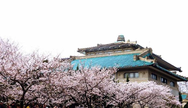 观黄鹤楼、湖北省博物馆春假爆款武汉名校夏令营开启报名开元ky棋牌狮子精品夏令营 探访武汉大学、华中科大参(图11)