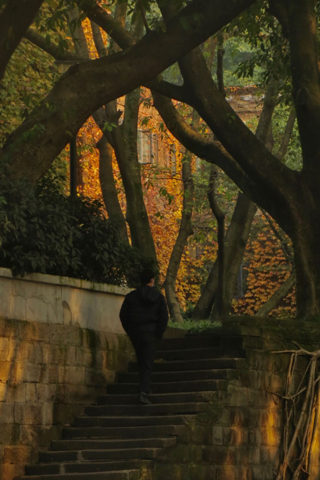 略(开放时间+门票预约+路线)开元棋牌试玩重庆周公馆游玩攻(图16) 略(开放时间+门票预约+路线)开元棋牌试玩重庆周公馆游玩攻(图16)