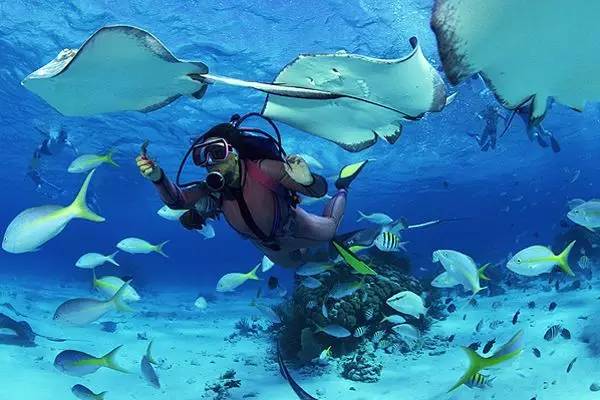 姐妹们的旅行也很精彩！开元棋牌邮轮上没有艳遇(图7)